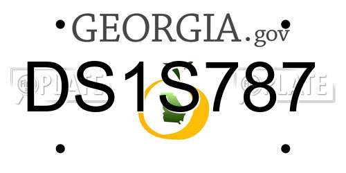 DS1S787 Georgia License Plate