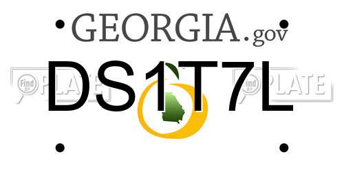 DS1T7L Georgia License Plate
