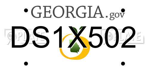 DS1X502 Georgia License Plate