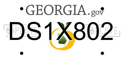 DS1X802 Georgia License Plate