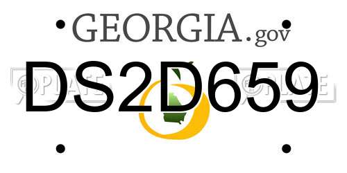 DS2D659 Georgia License Plate