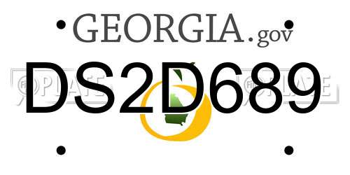 DS2D689 Georgia License Plate