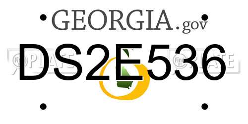 DS2E536 Georgia License Plate