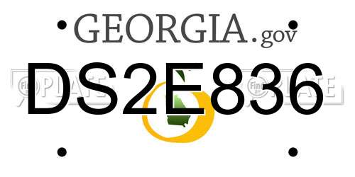DS2E836 Georgia License Plate