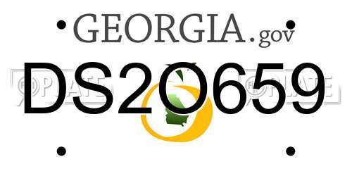 DS2O659 Georgia License Plate