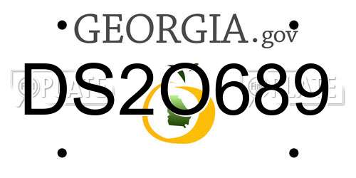 DS2O689 Georgia License Plate