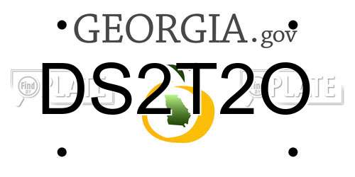 DS2T2O Georgia License Plate