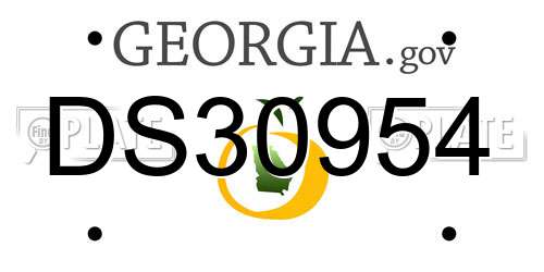 DS30954 Georgia License Plate