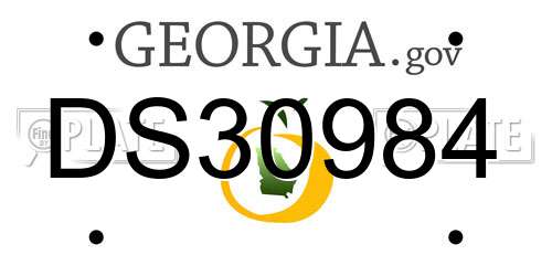 DS30984 Georgia License Plate