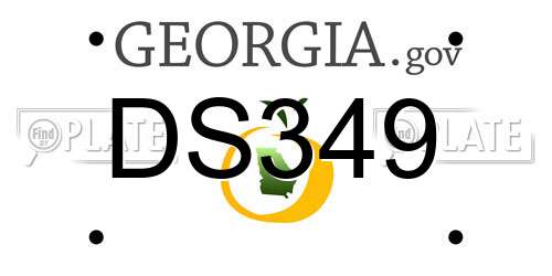DS349 Georgia License Plate