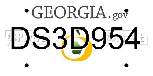 DS3D954 Georgia License Plate