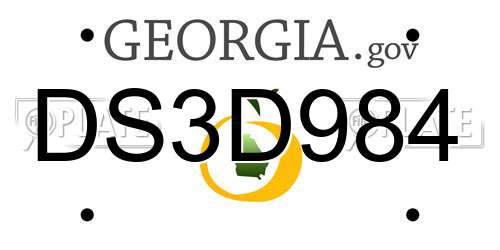 DS3D984 Georgia License Plate