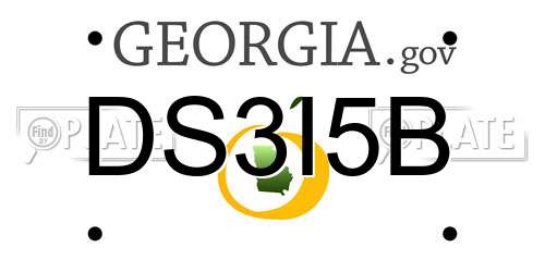 DS3I5B Georgia License Plate