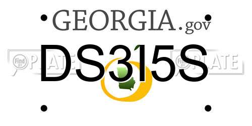 DS3I5S Georgia License Plate