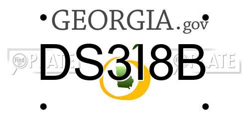 DS3I8B Georgia License Plate