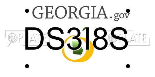 DS3I8S Georgia License Plate