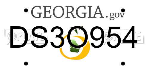 DS3O954 Georgia License Plate
