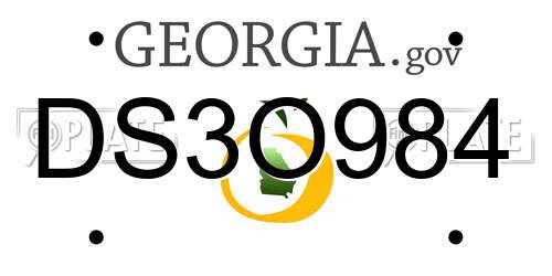 DS3O984 Georgia License Plate