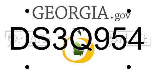 DS3Q954 Georgia License Plate