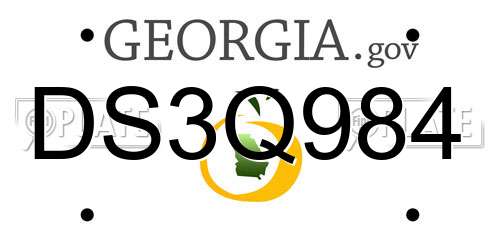 DS3Q984 Georgia License Plate