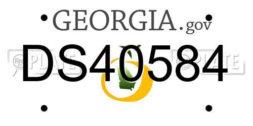 DS40584 Georgia License Plate