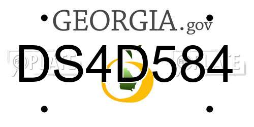 DS4D584 Georgia License Plate