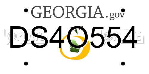 DS4O554 Georgia License Plate
