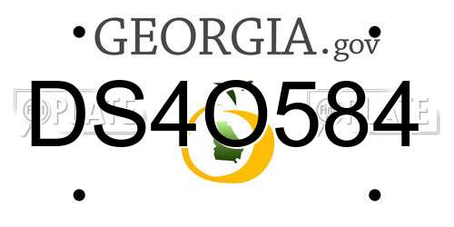 DS4O584 Georgia License Plate