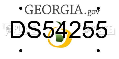 DS54255 Georgia License Plate