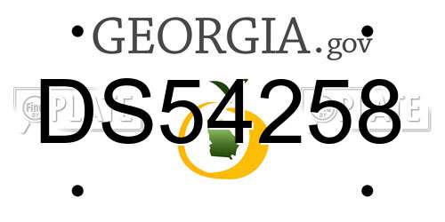 DS54258 Georgia License Plate