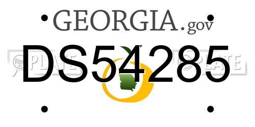 DS54285 Georgia License Plate