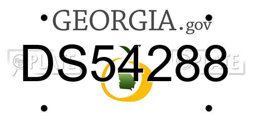 DS54288 Georgia License Plate