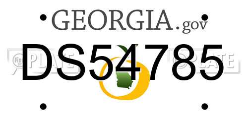 DS54785 Georgia License Plate