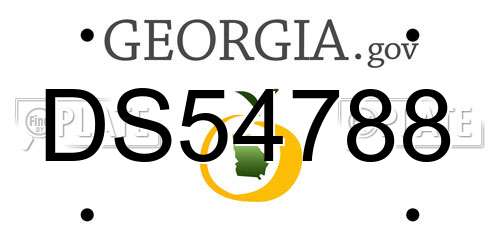 DS54788 Georgia License Plate