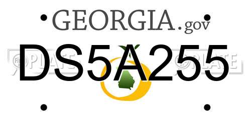 DS5A255 Georgia License Plate