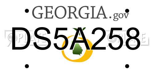 DS5A258 Georgia License Plate