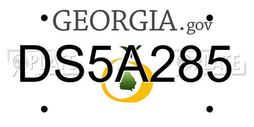 DS5A285 Georgia License Plate