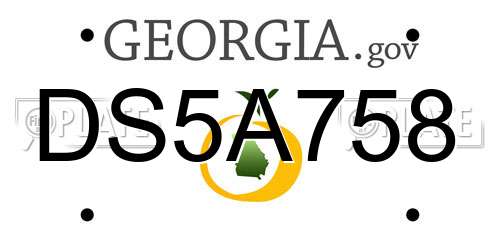DS5A758 Georgia License Plate