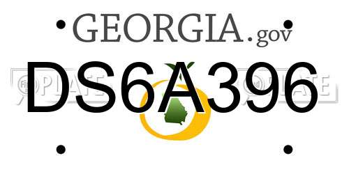 DS6A396 Georgia License Plate