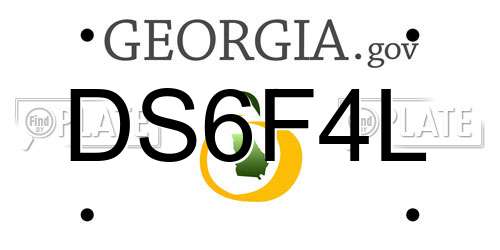 DS6F4L Georgia License Plate
