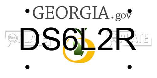 DS6L2R Georgia License Plate