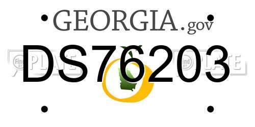 DS76203 Georgia License Plate