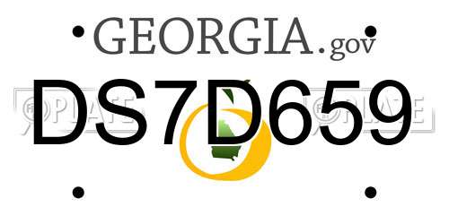 DS7D659 Georgia License Plate