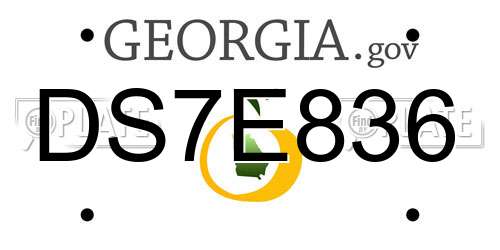 DS7E836 Georgia License Plate