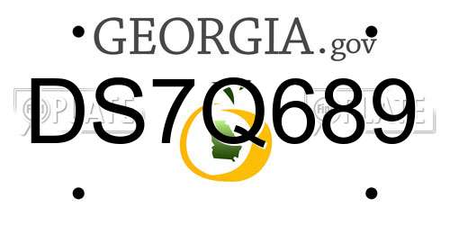 DS7Q689 Georgia License Plate
