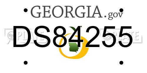 DS84255 Georgia License Plate