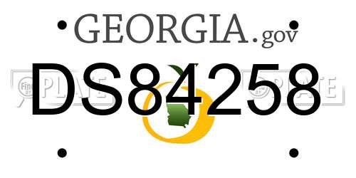 DS84258 Georgia License Plate