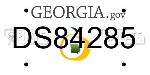 DS84285 Georgia License Plate