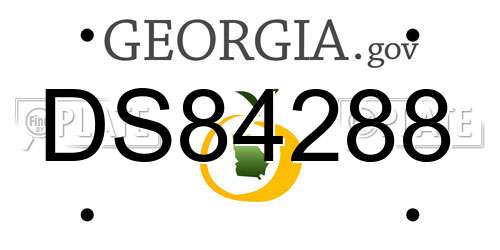 DS84288 Georgia License Plate