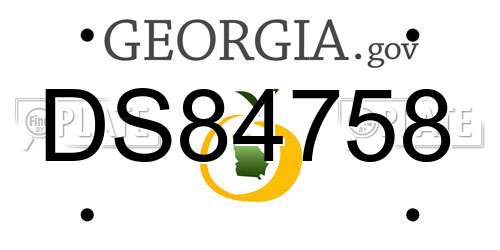 DS84758 Georgia License Plate